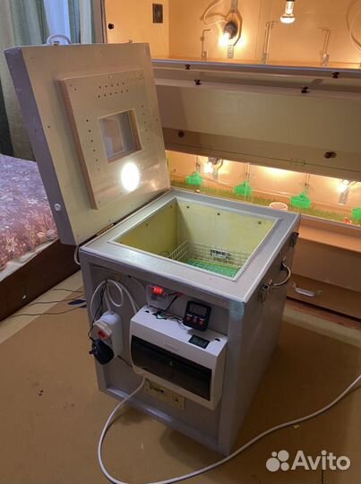 Инкубатор для яиц