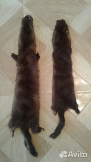 Шкурки: норка, нутрия, куница