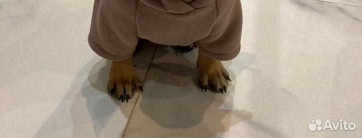 Толстовка для собак