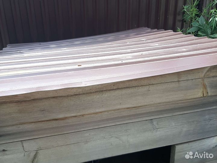 Собачья конура