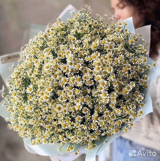 Цветы ромашки. Букеты ромашек. Цветы доставка