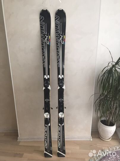 Горные лыжи