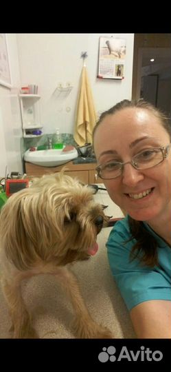 Ветеринарный врач, стерелизация, кастрация,стрижки