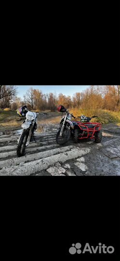 Irbis atv 250