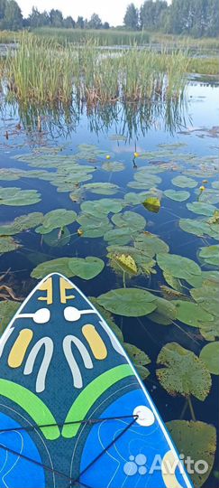 Прокат сап бордов
