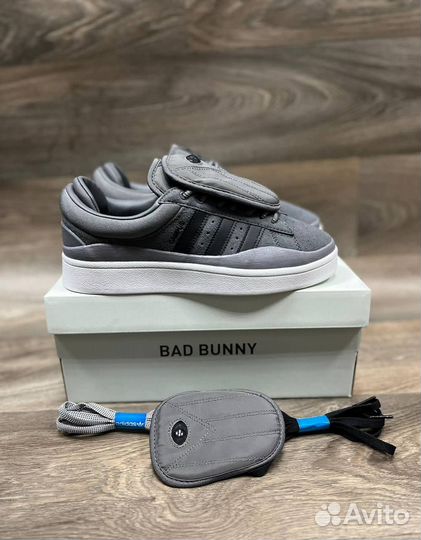 Adidas campus Bad bunny