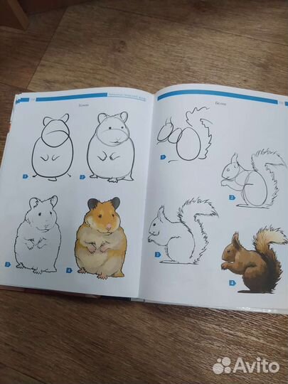 Самоучитель по рисованию