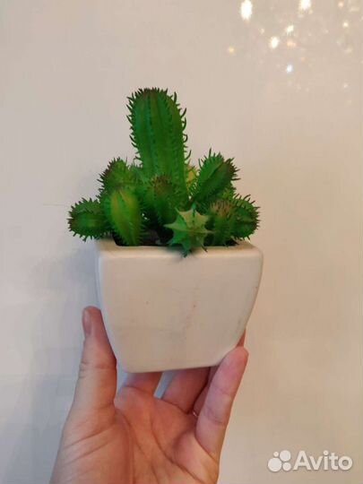 Кактусы искусственные. Декор