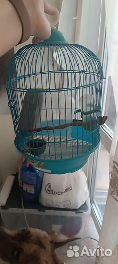 Клетка для канареек бу