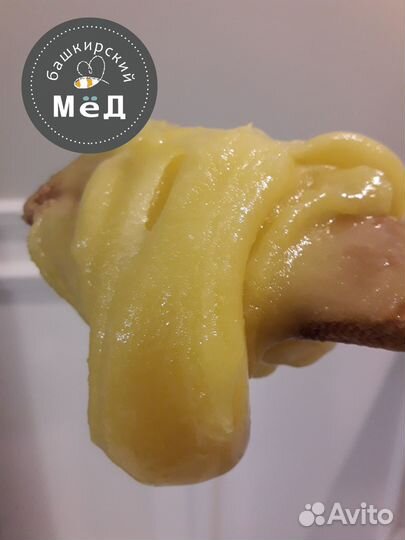 Башкирский мёд - цветочное разнотравие