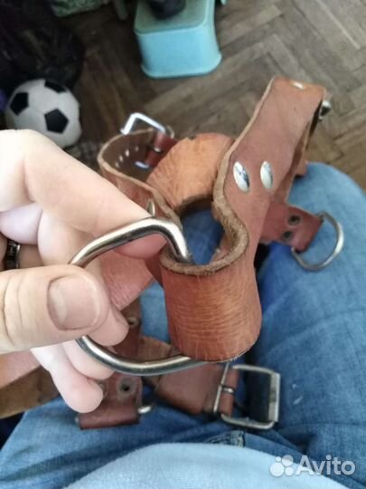 Шлейка ездовая