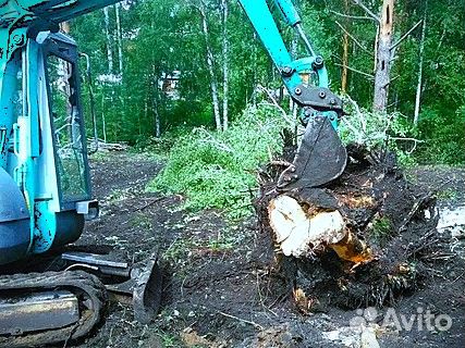Эффективное удаление пней: быстро и надежно