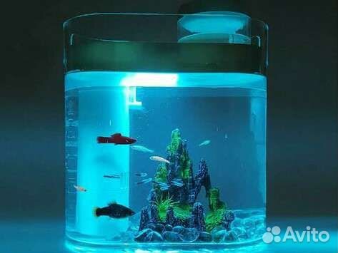 Аквариум Xiaomi 5 литров