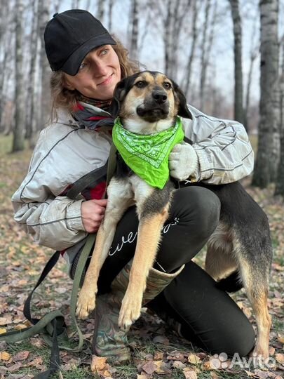 Щенуля Тутси ждет в приюте