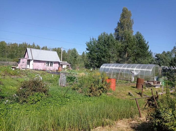 Участок 12 сот. (СНТ, ДНП)