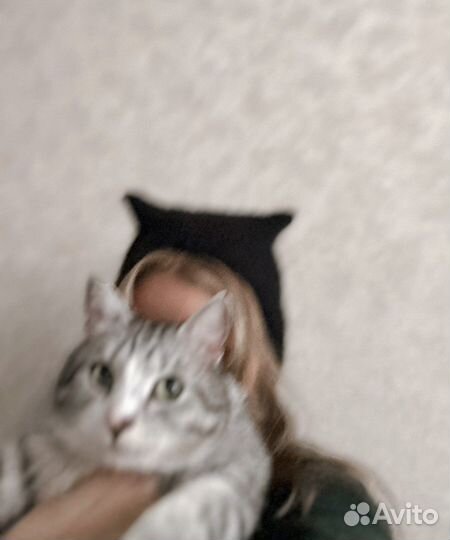 Шапка чепчик с ушками