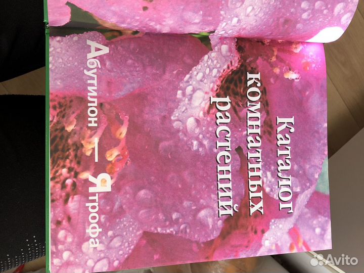 Книга о растениях