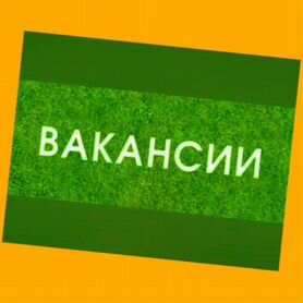 Грузчик Вахта Выплаты еженедельно Супер Условия