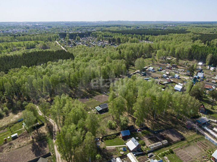 Участок 10 сот. (СНТ, ДНП)