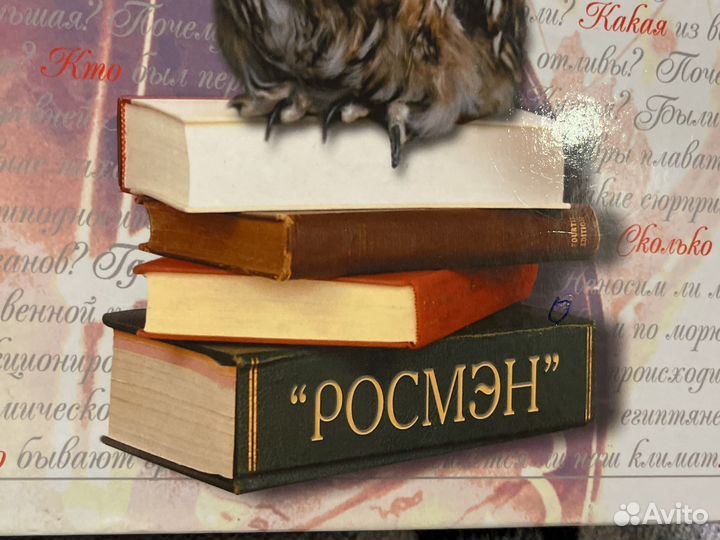 Большая энциклопедия почемучек