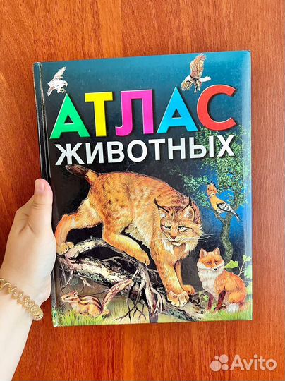 Атлас животных. Школьник Ю. К