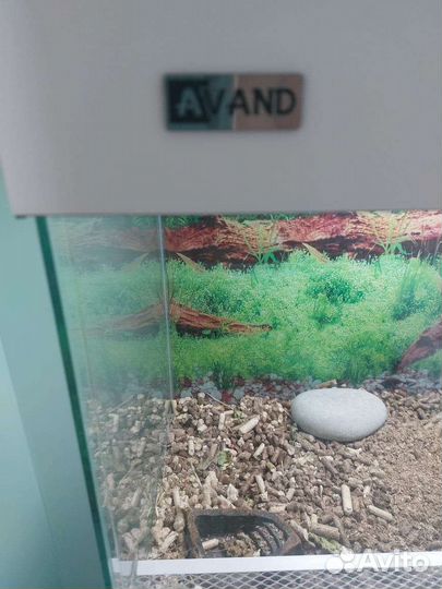 Террариум для сухопутной черепахи