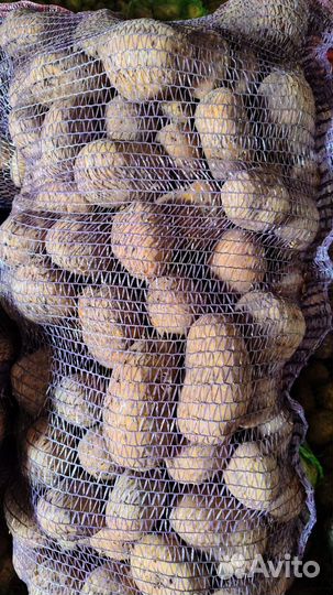 Картофель деревенский