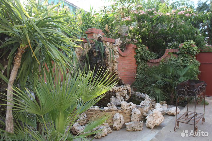 Растения для вашего сада и озеленения помещений