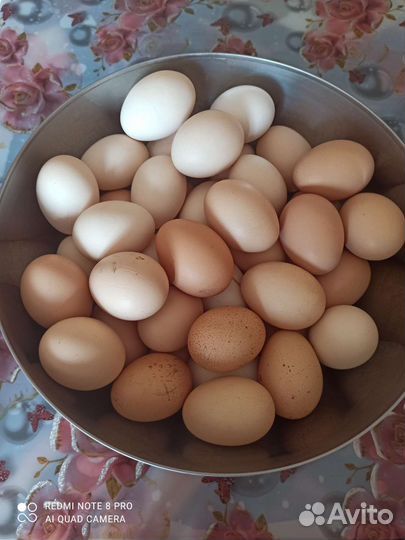 Продукты питания