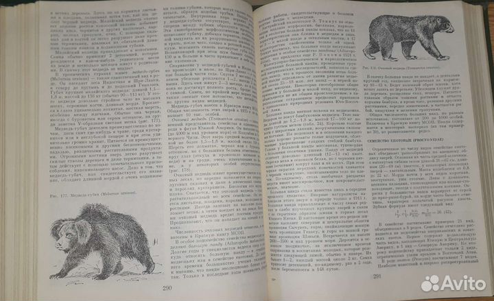 Советская энциклопедия- Жизнь животных