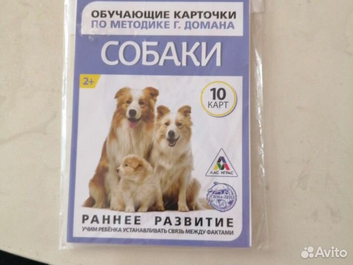 Карточки обучающие, новые, 2+