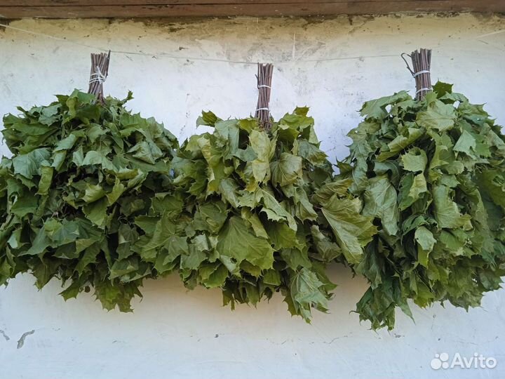 Веники для бани можжевеловые,кленовые