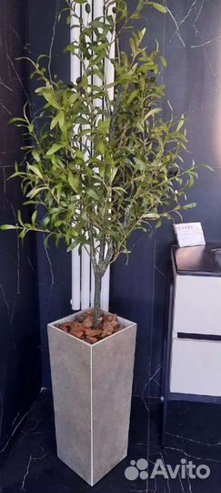 Искусственные деревья пальмы фикус бамбук терраса