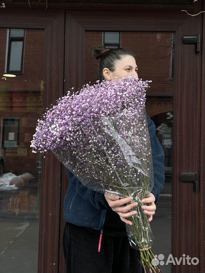 Гипсофила оптом