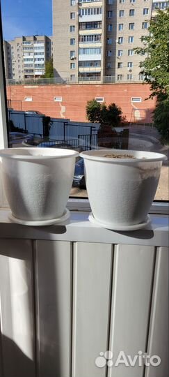 Горшки для цветов белые