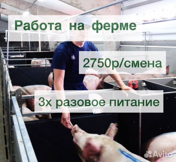 Уход за животными Брянская область