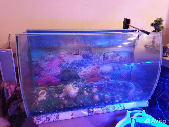 Аквариум