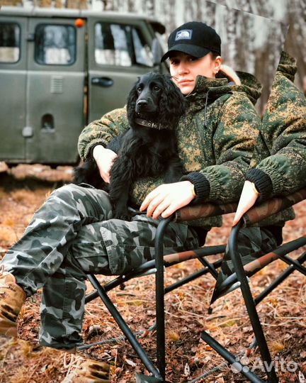 Кинолог. Дрессировка собак