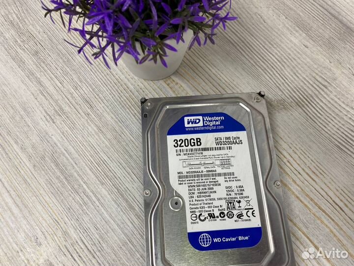 Жесткий диск Western Digital 320gb WD Blue
