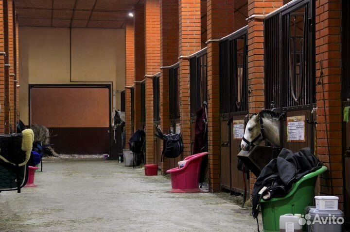 Постой для лошадей