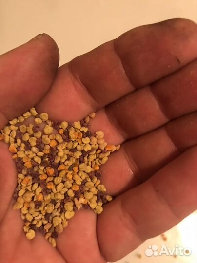 Пыльца пчелиная