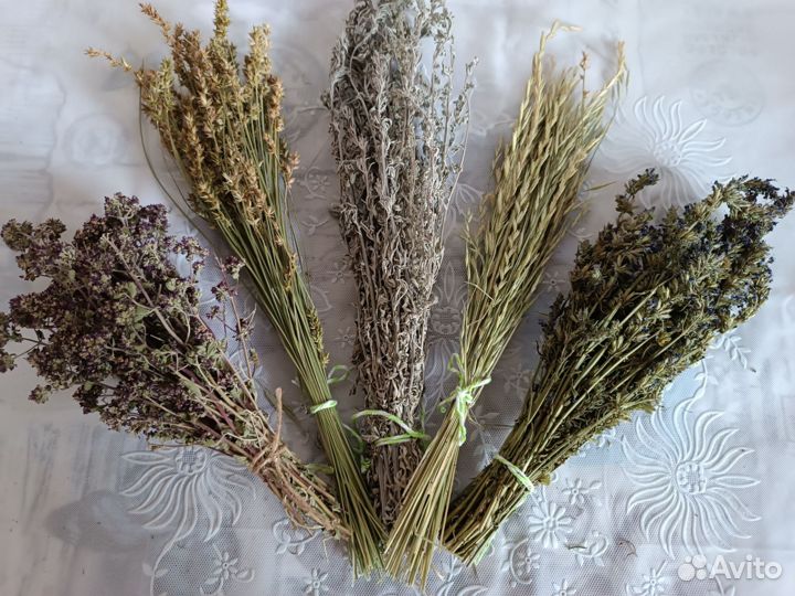 Сухоцветы