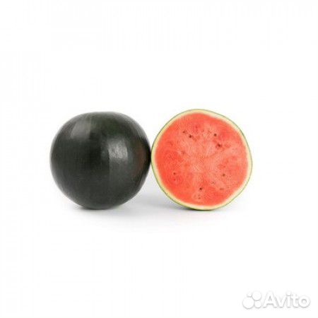 Семена Арбуза 