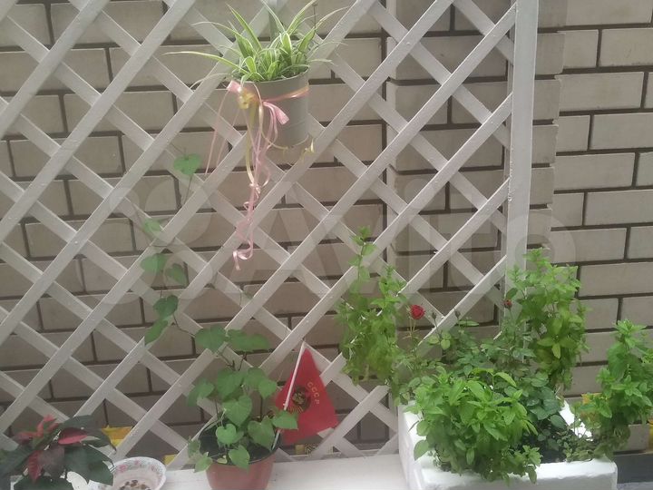 Комната 18 м², 2/2 эт.