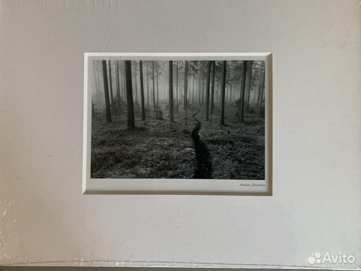 Икеа bild интерьерные картины