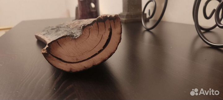 Продам бивень мамонта