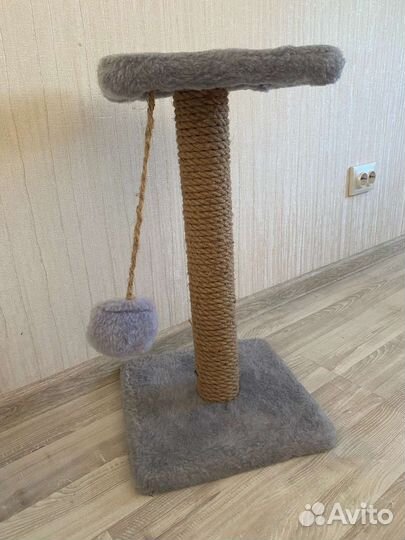 Когтеточка