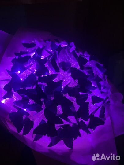 Букет из 101 бабочки