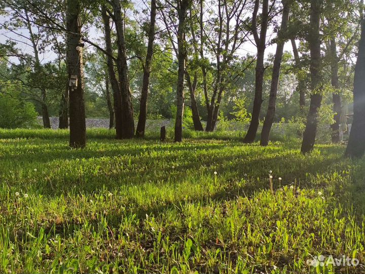 Отдых на природе с беседкой и мангалом