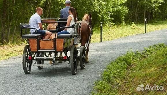 2.сен.23 На ретропоезде в Рускеалу /ка3037